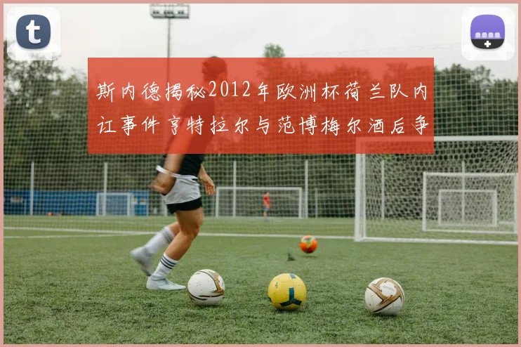 斯内德揭秘2012年欧洲杯荷兰队内讧事件亨特拉尔与范博梅尔酒后争执内幕
